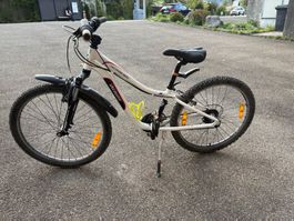 Specialized Hotrock 24 Zoll Kindervelo, Guten Zustand!