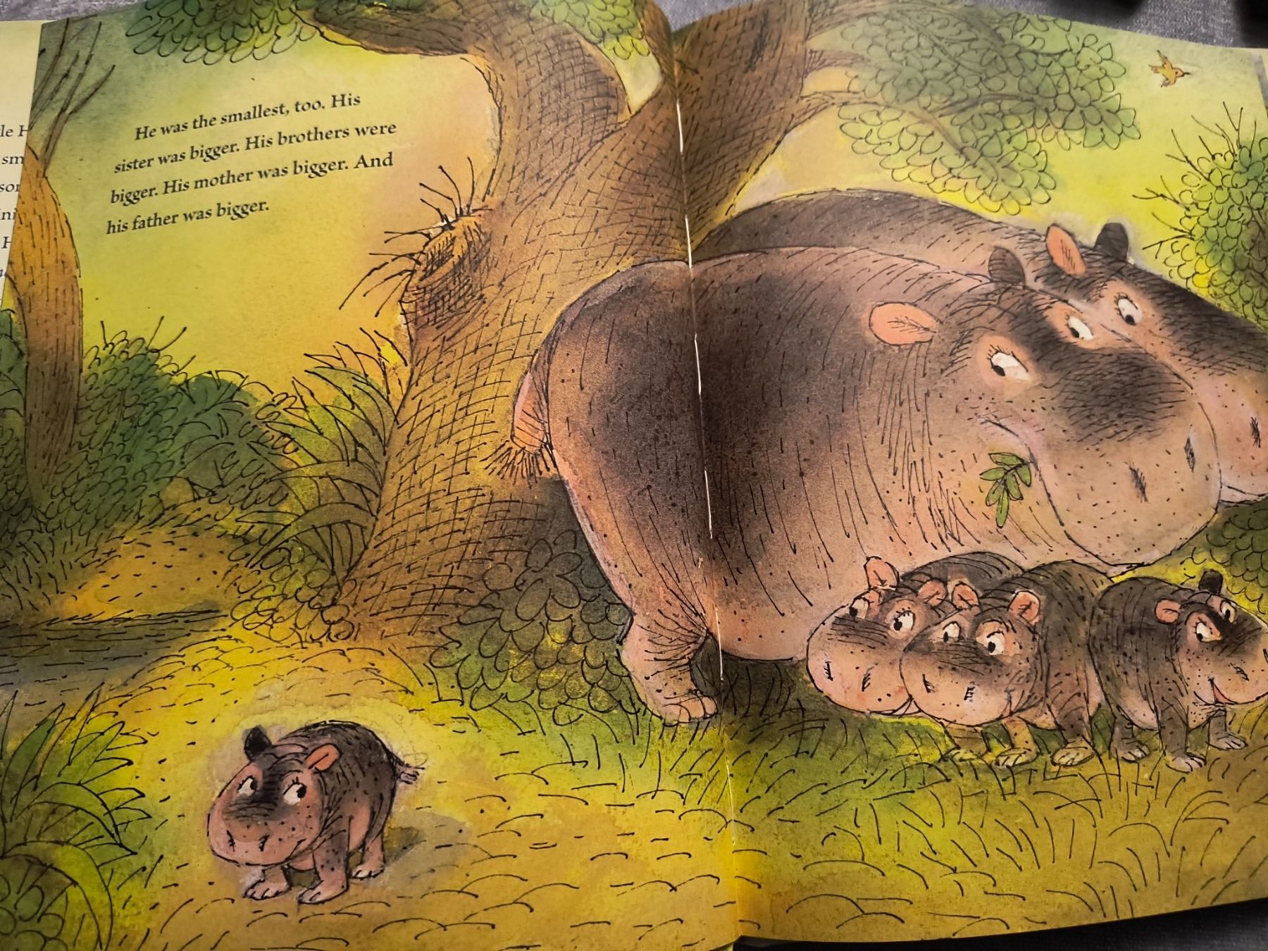 Libri: BIG LITTLE HIPPO Kinderbuch englischer Sprache – Usato da Schöfflisdorf venduto da kin_2dp9 2