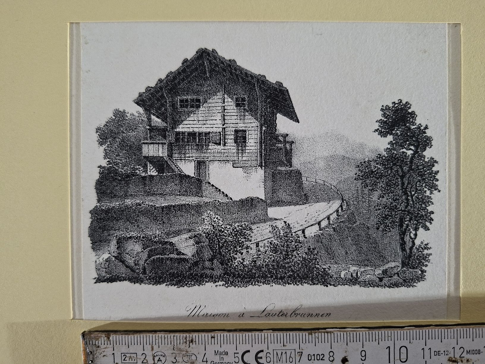 Incisioni: Lot 54 , 10 Stiche  – Usato da Grindelwald venduto da carro5 4