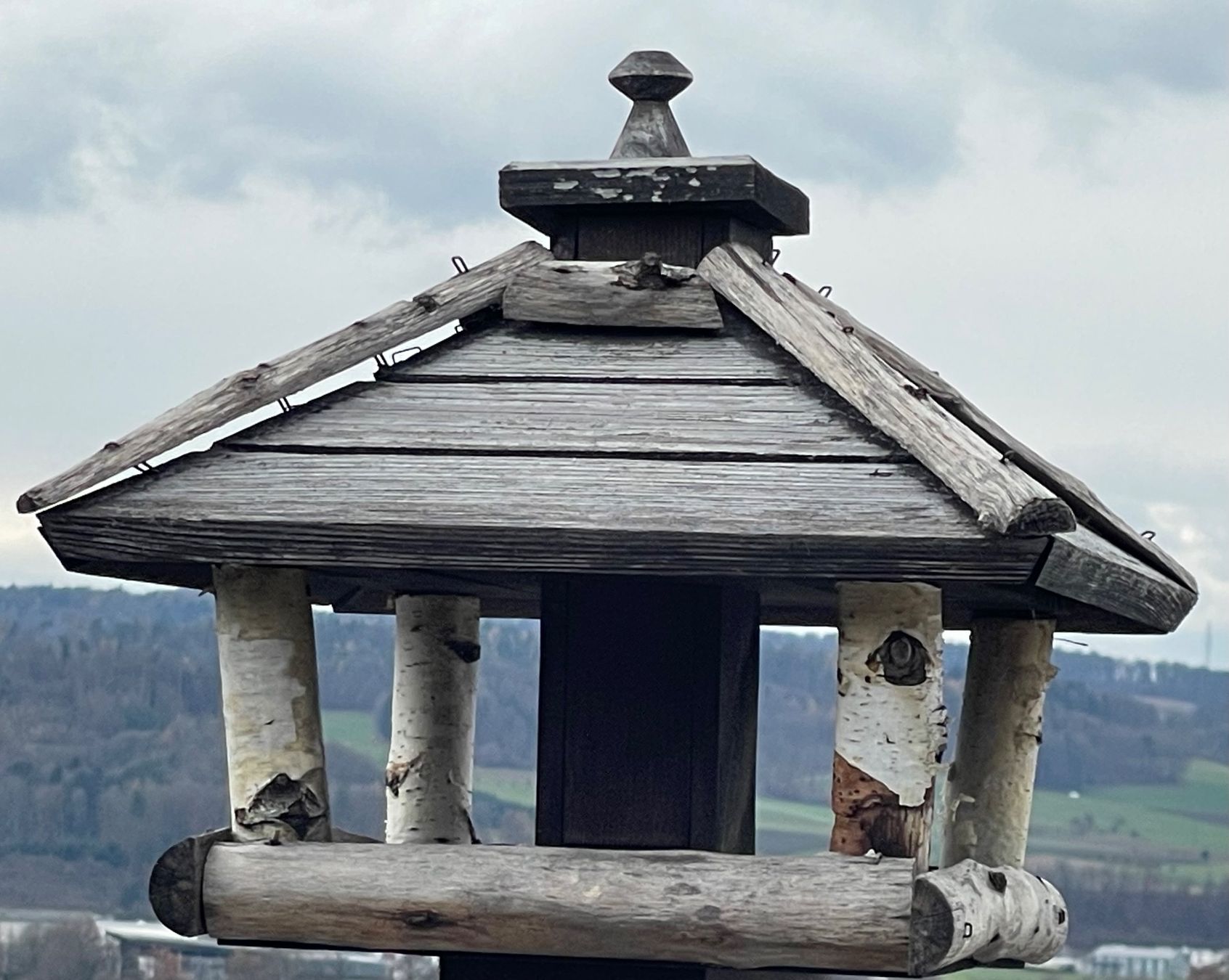 Vogelhäuser: Vogelhaus mit Silo und Birkenstamm – Gebraucht aus Klingnau von Quasimondo