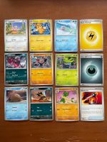Pokemon 12er Karten Set (Versand gratis)