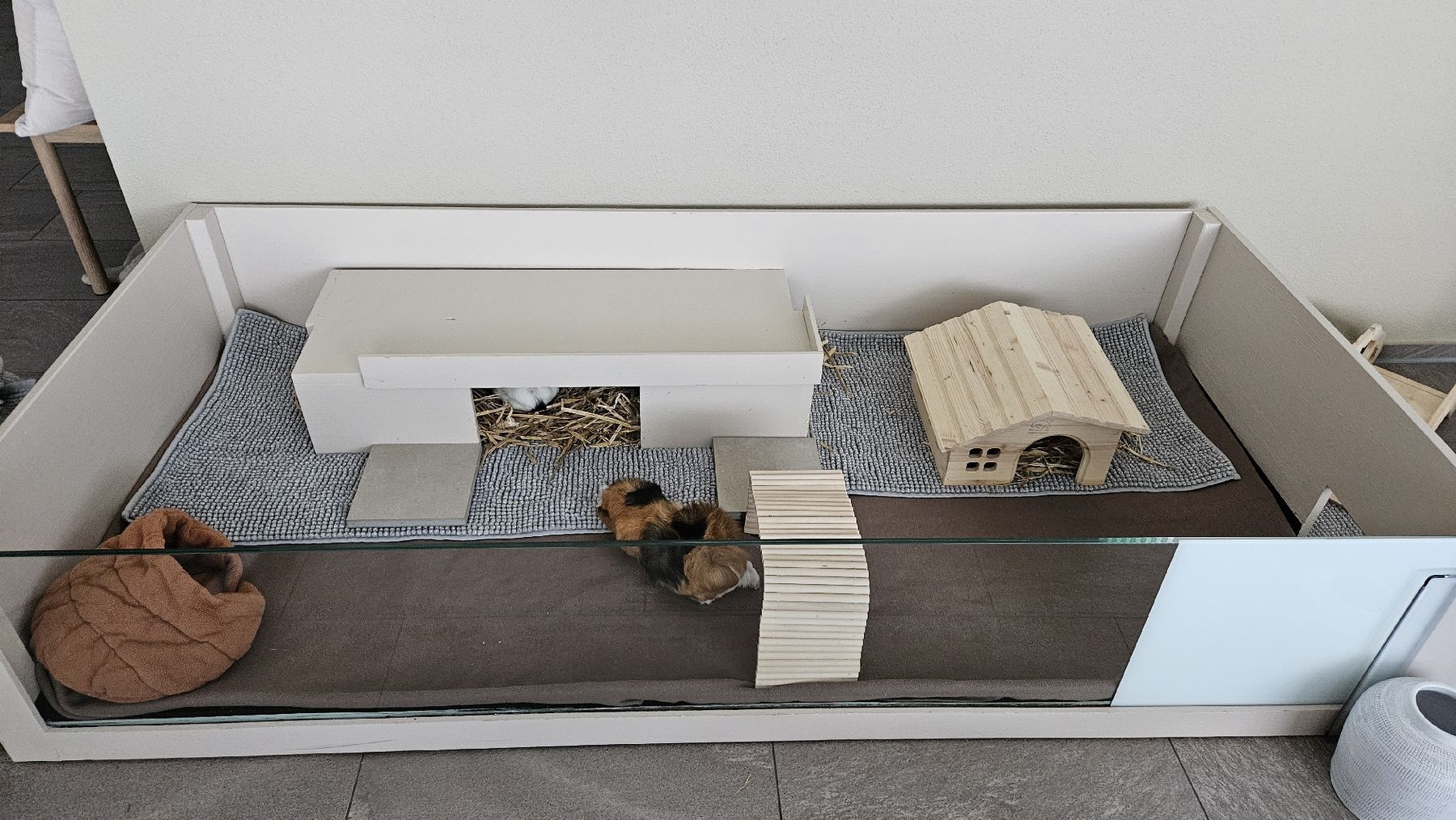 Cages, transport & sécurité: Meerschweinchen Gehege – D'occasion à Geuensee par ren_lts9