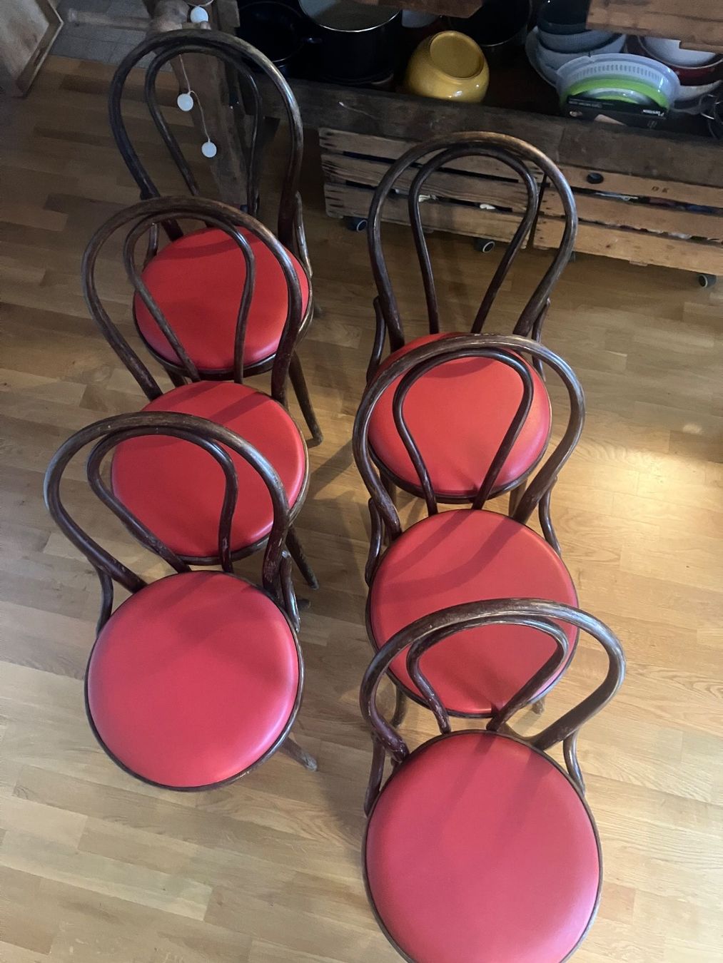 Sedie: Thonet – Usato da Basel venduto da eclipse012 3