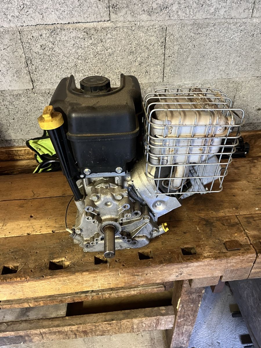 Motori: Moteur Briggs et Stratton 10cv – Usato da Les Mosses venduto da benlesmosses 1