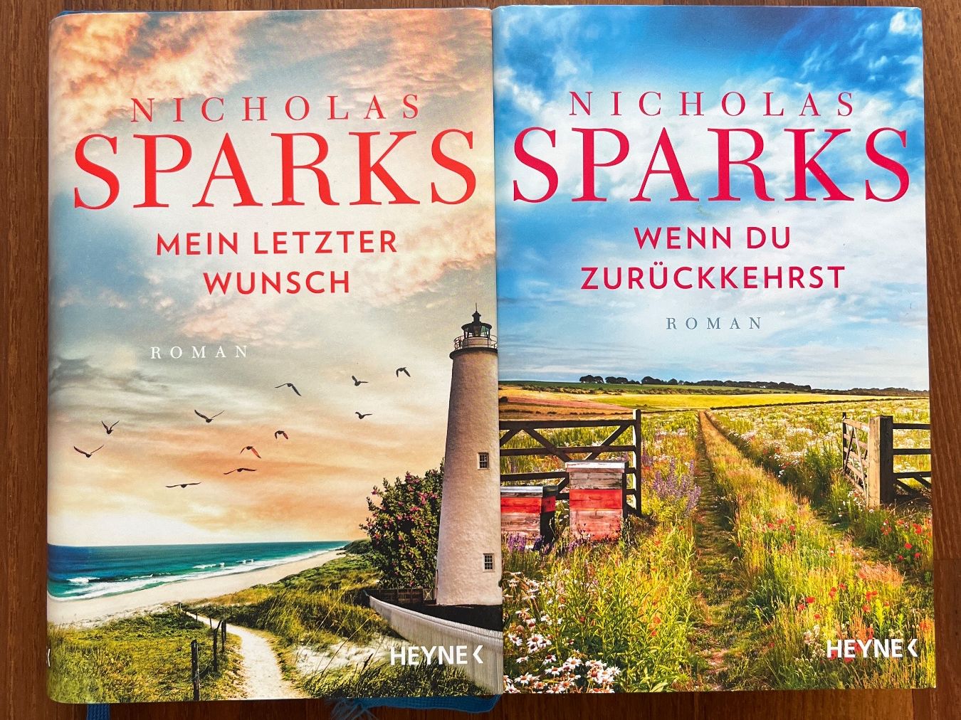 Libri: Nicholas Sparks, 2 Bücher, Hardcover – Usato da Holderbank SO venduto da ale_5zjc