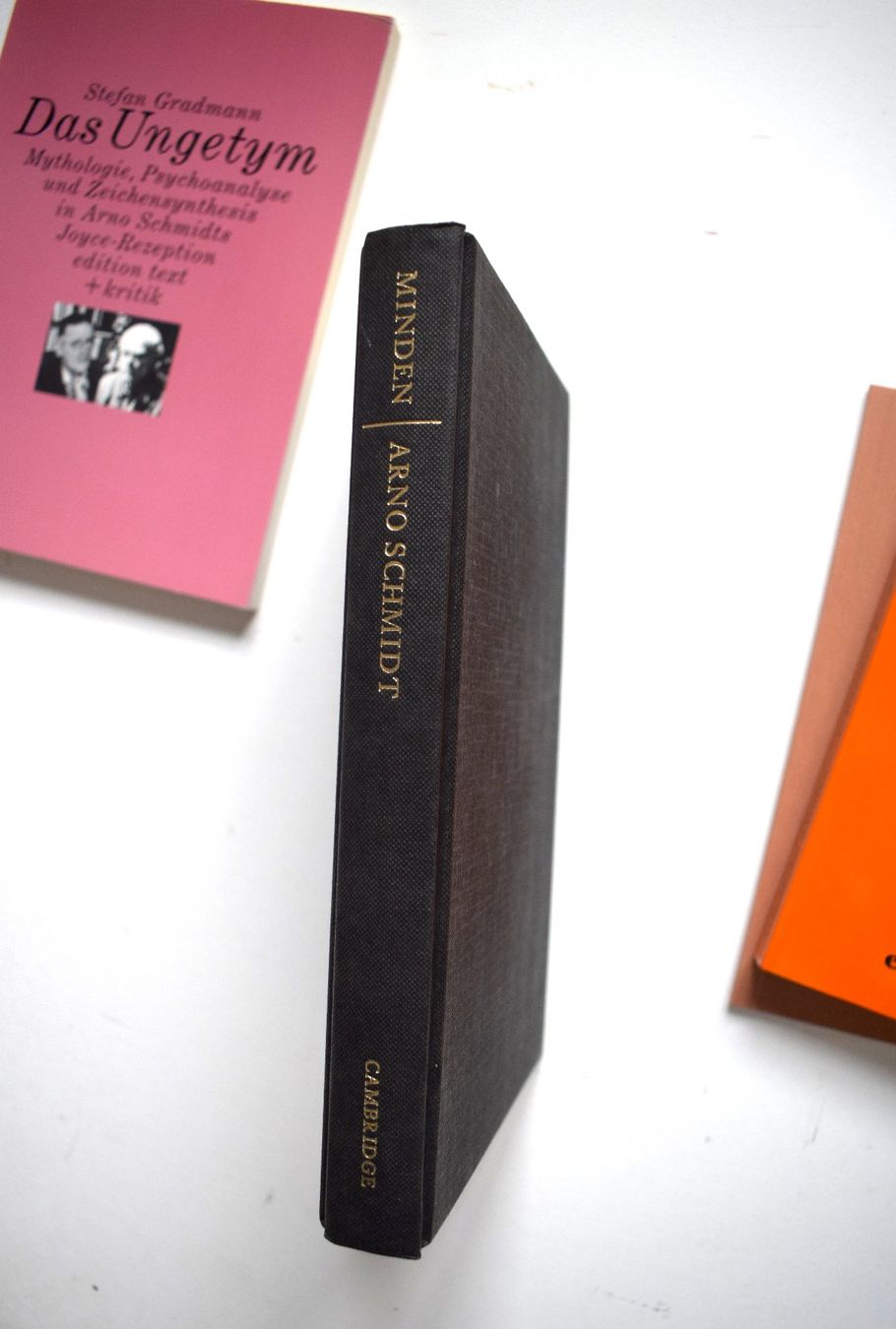 Libri: Arno Schmidt LOT James Joyce Porträt Critical Study – Usato da Dulliken venduto da ichwettichhett 1
