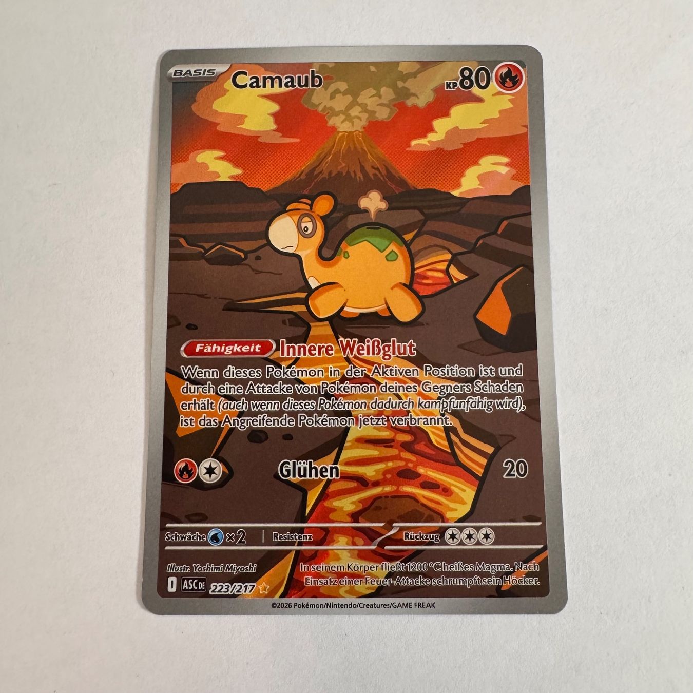 Pokémon Carte collezionabili: Pokémon ASC - Camaub - Numel - 223 / 217 - DE – Nuovo (secondo la descrizione) da Staad SG venduto da miaCards