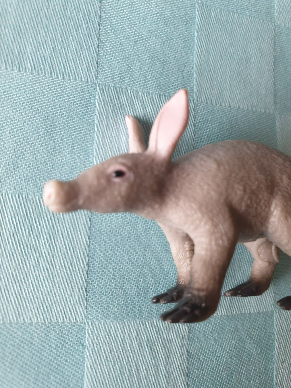 Schleich Statuette: Erdferkel Schleich Figur – Usato da Mörschwil venduto da spirspi 2