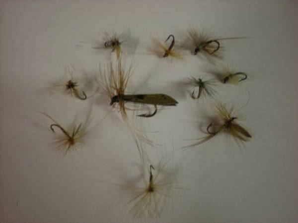 Köder: 10 mouches sèches  10 Trocken Fliegen – Neu (gemäss Beschreibung) aus Fribourg von versus702