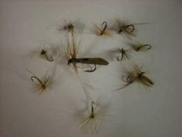 10 mouches sèches  10 Trocken Fliegen