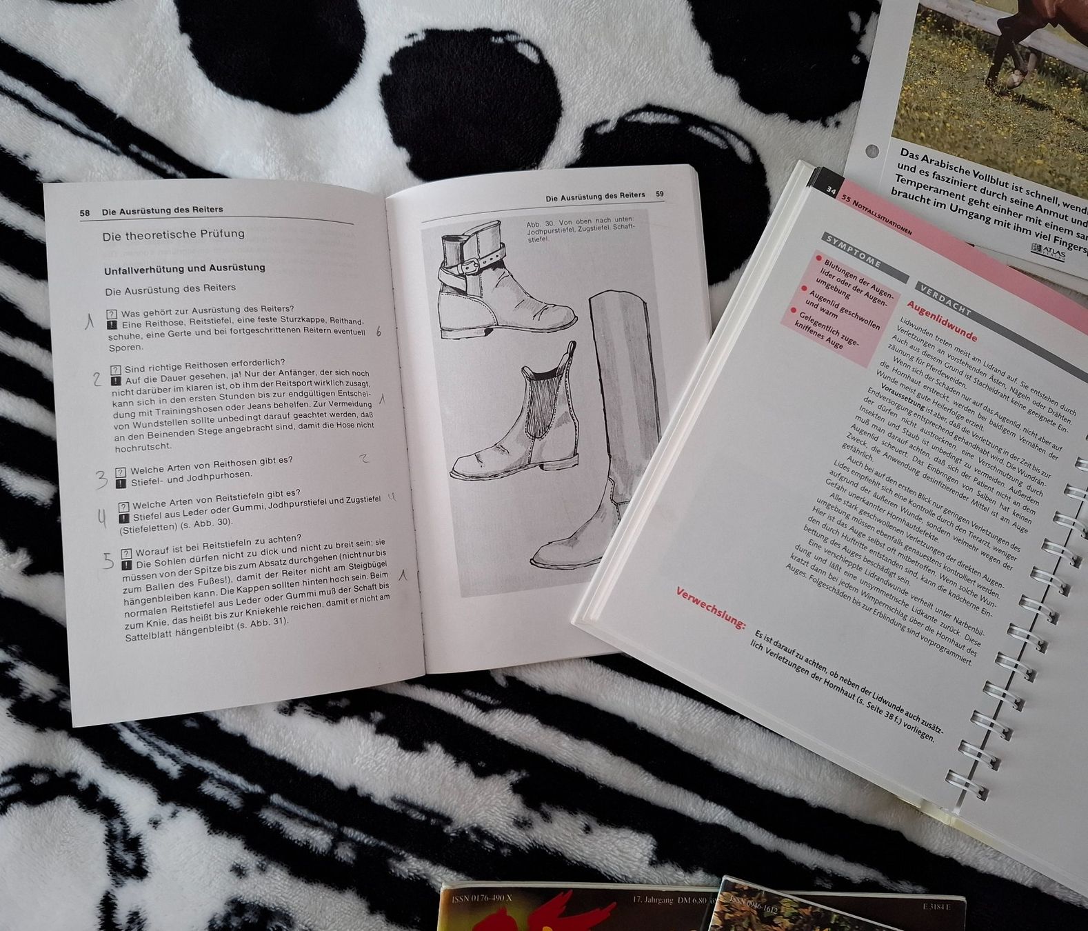 Libri: Pferdebücher und Zeitschriften – Usato da Oberurnen venduto da rotty80 5