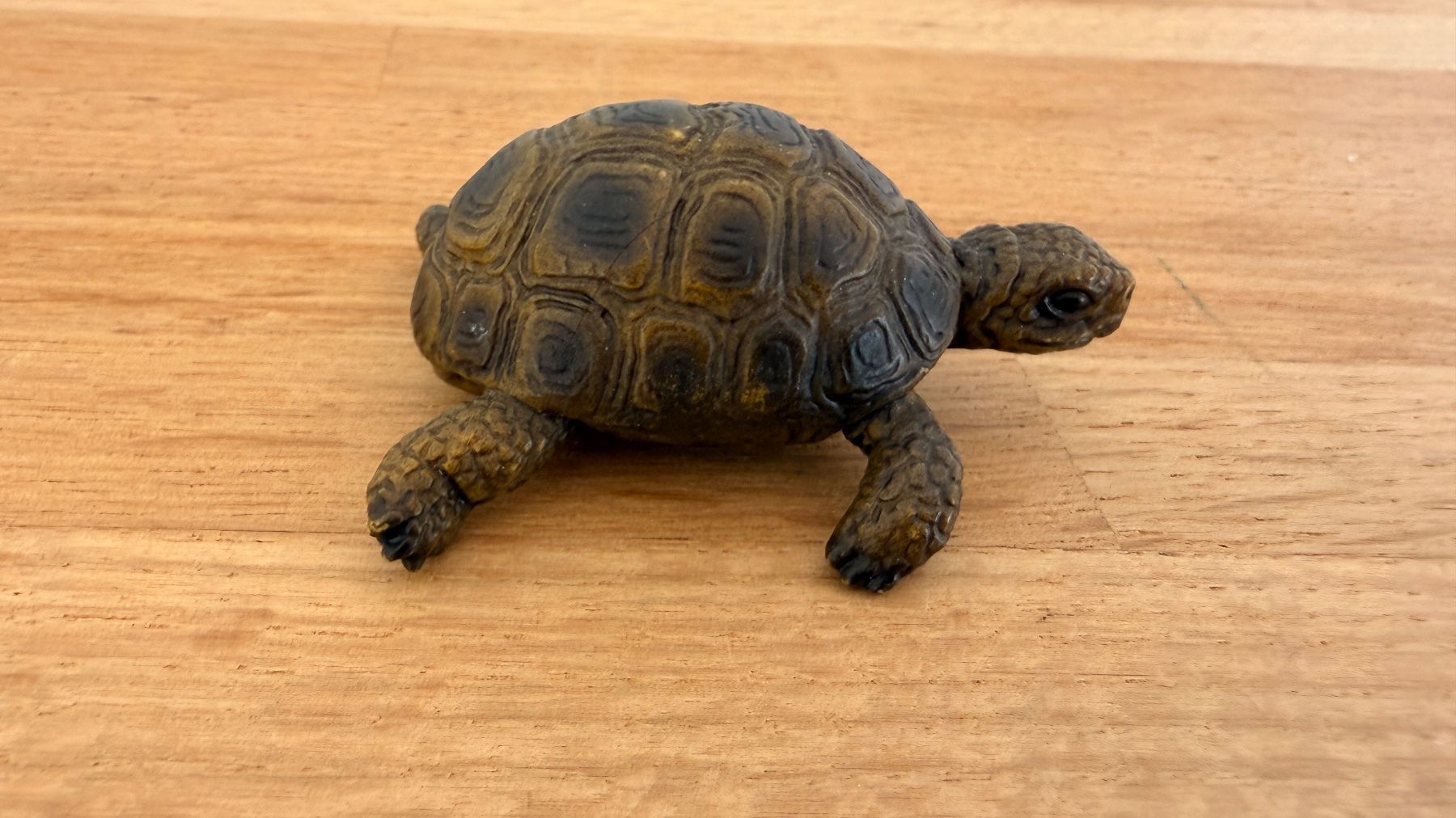 Schleich Giocattoli: SCHLEICH - Schildkröte 14404 – Usato da Winterthur venduto da Secondhand-Family 2