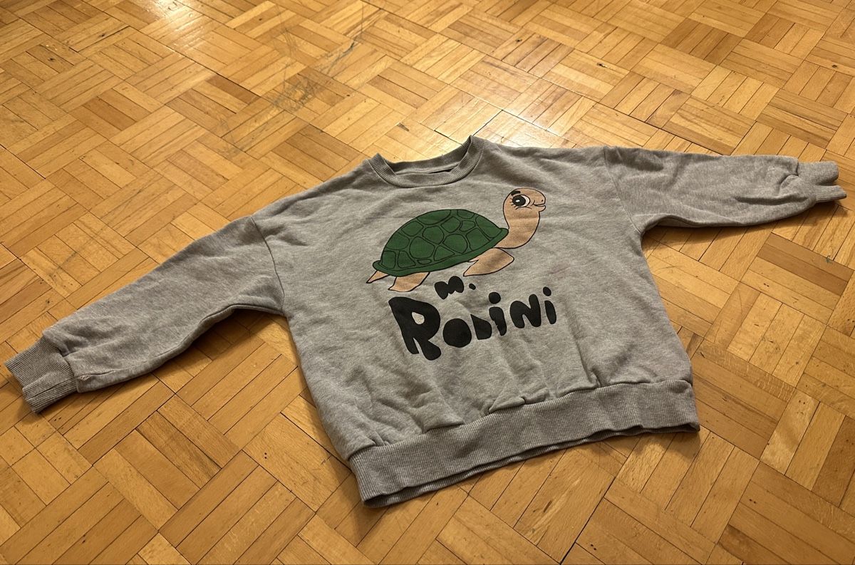 Mini Rodini Maglioni & Felpe: Mini Rodini Pulli Gr. 120 – Usato da Zürich venduto da Paleardi