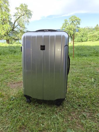 Travelline Grau Reisekoffer