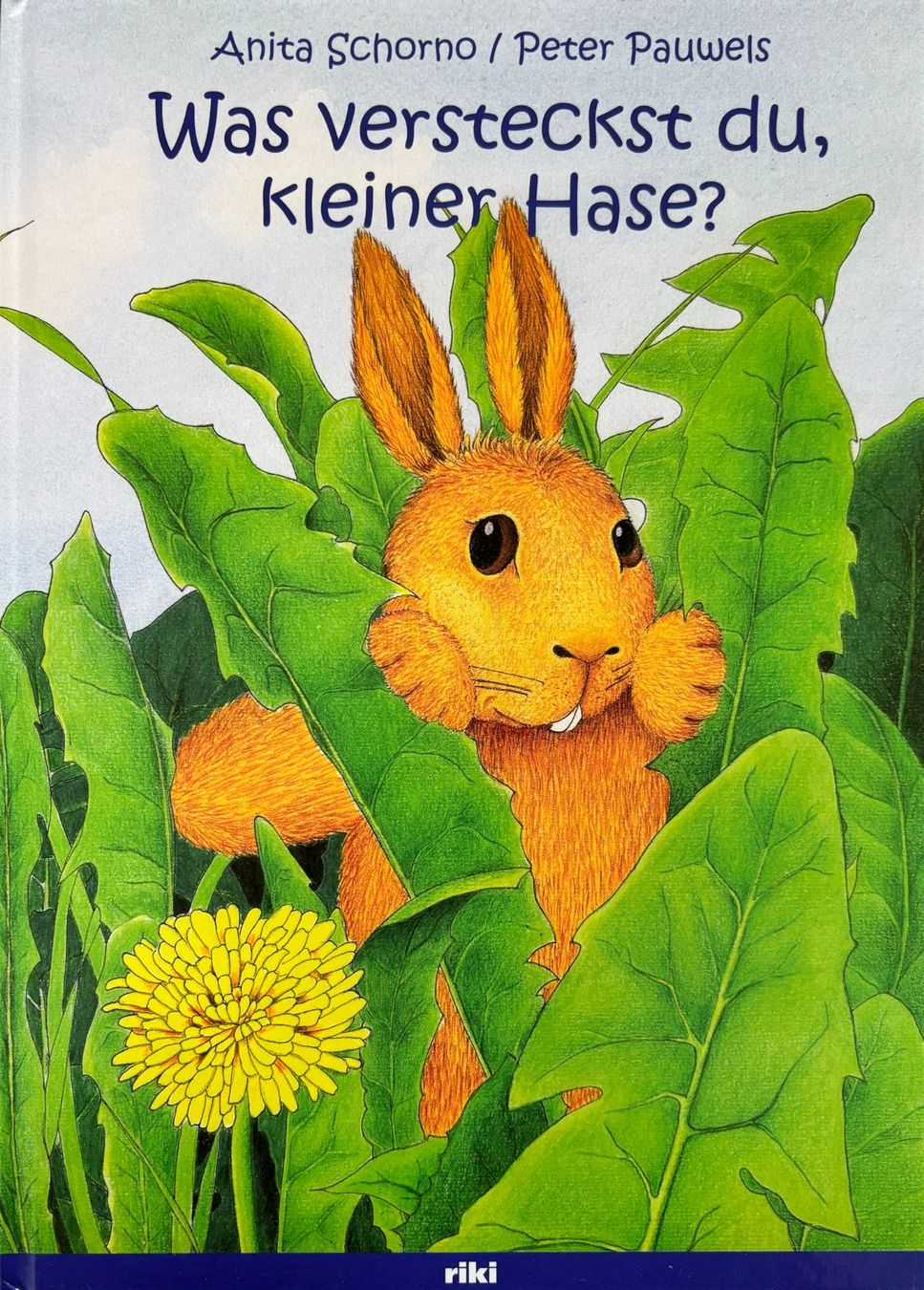 Bücher: Was versteckst du, kleiner Hase? – Neu und originalverpackt aus Sarnen von Livres