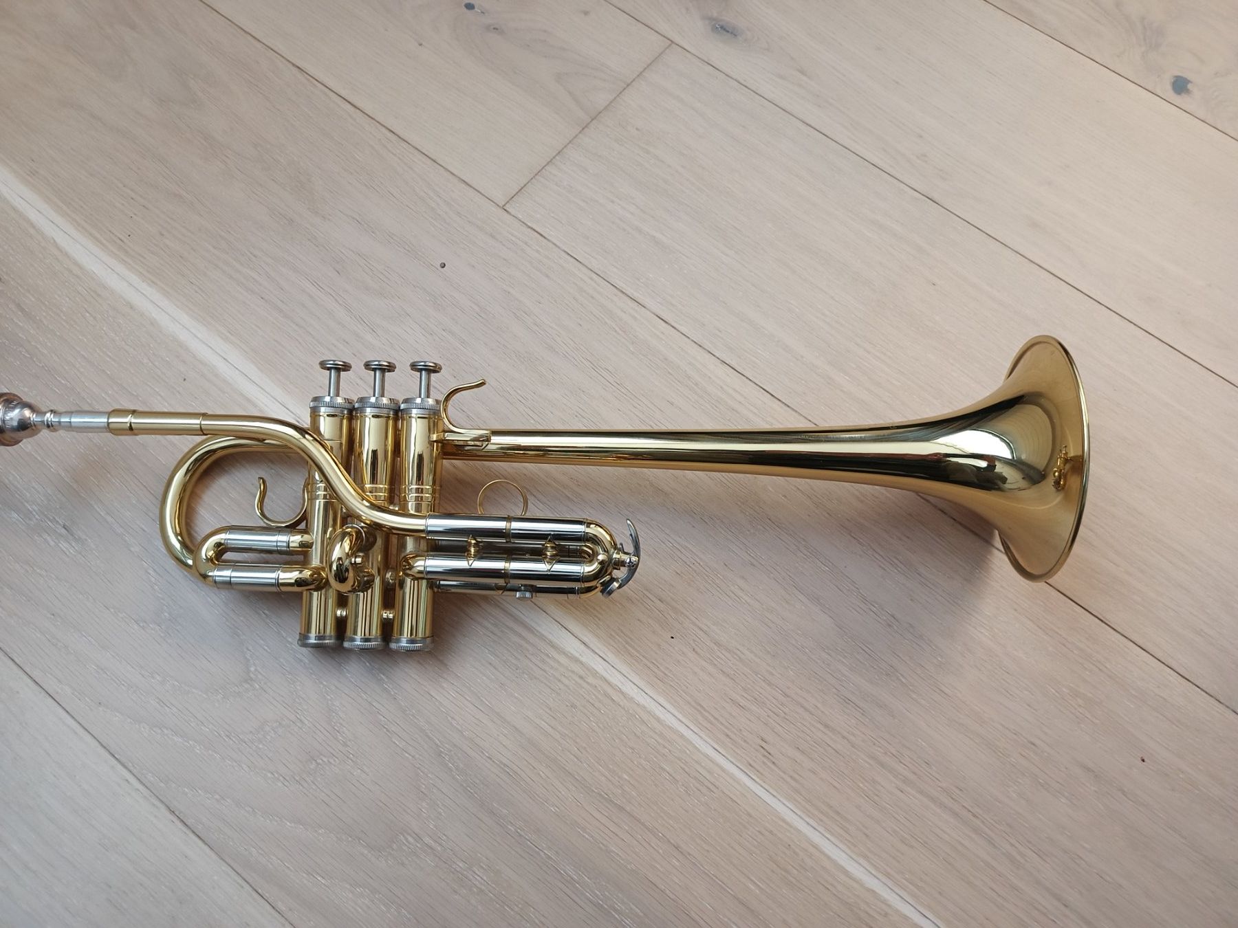 Musikinstrumente: D / Eb Trompete Weril Regium II Concert – Gebraucht aus Muolen von Brassmaster27