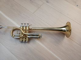 D / Eb Trompete Weril Regium II Concert