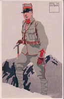 Schweizer Armee, Felduniform Hauptmann (2111)