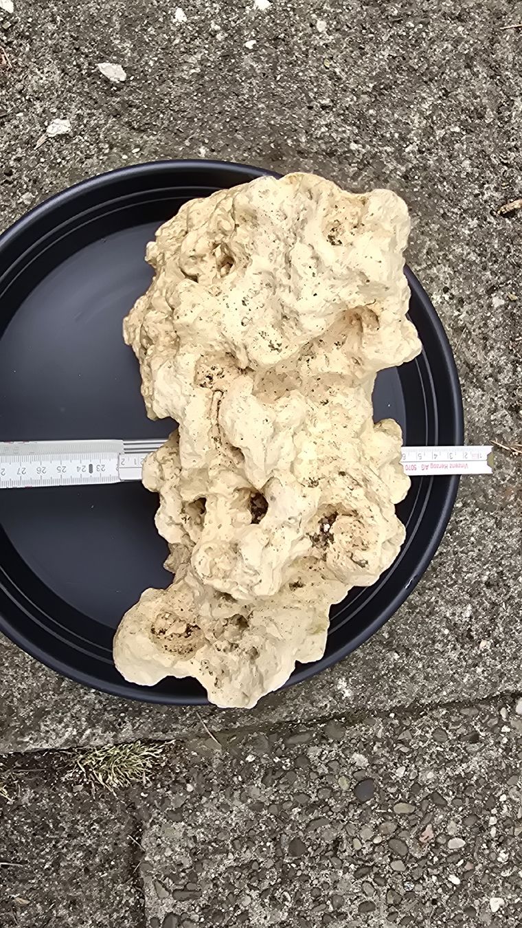 Tutte le decorazioni: Aquarium Deko Stein Korallenstein ca 25 cm hellbeige – Usato da Muttenz venduto da pixopus 5