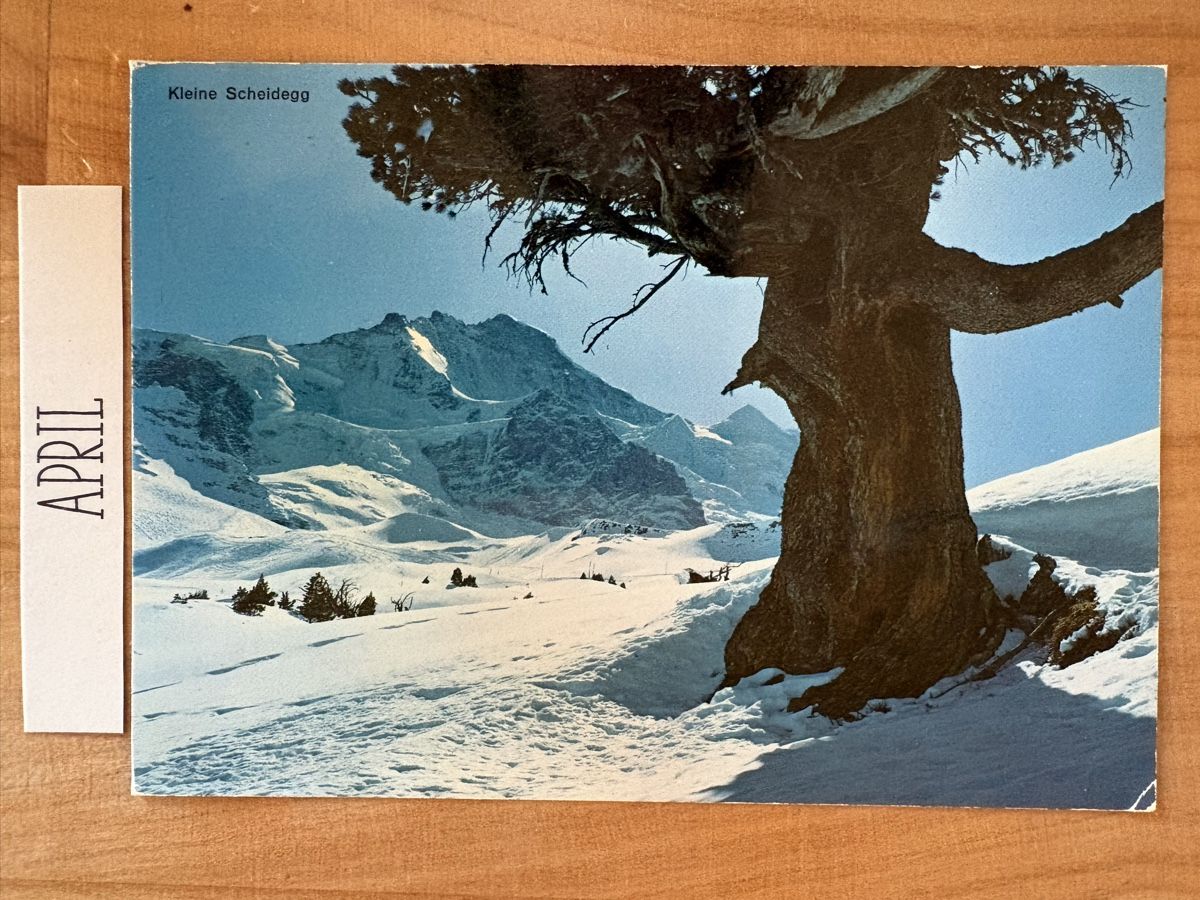 Ansichtskarten: AK von Kleine Scheidegg mit Jungfrau – Gebraucht aus Rümlang von Kartenpost1