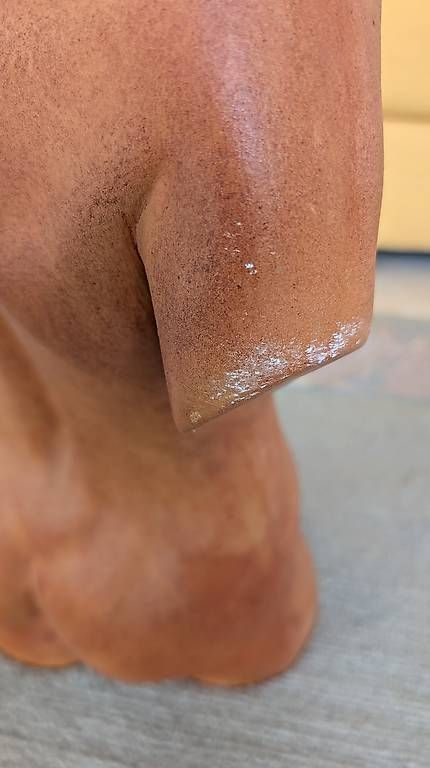 Sculture & Statue: Weiblicher Torso aus Keramik – Usato da Zürich venduto da wme_2brc 4