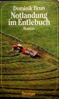 Dominik Brun Notlandung im Entlebuch