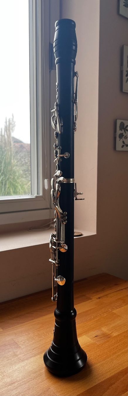 Instruments de musique: Clarinette Sib Ripa 925 Solid Silver – D'occasion à Bern par han_rv6s 2