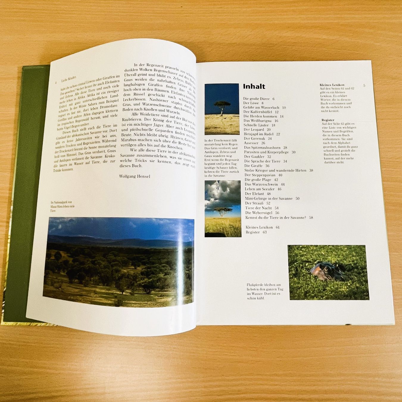 Libri: Die Tierwelt entdecken - Tiere in Afrika – Usato da Amlikon-Bissegg venduto da allerlei-versand 1
