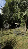 Citybike YIWU Chrome S 50 cm von MAY inkl. Korb