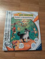 Tiptoi Buchl: Mein Lern-Spiel-Abenteuer - Konzentration