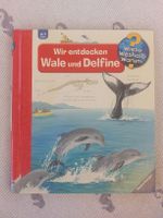 Wieso Weshalb Warum? Wir entdecken Wale und Delfine  (Bd 41)