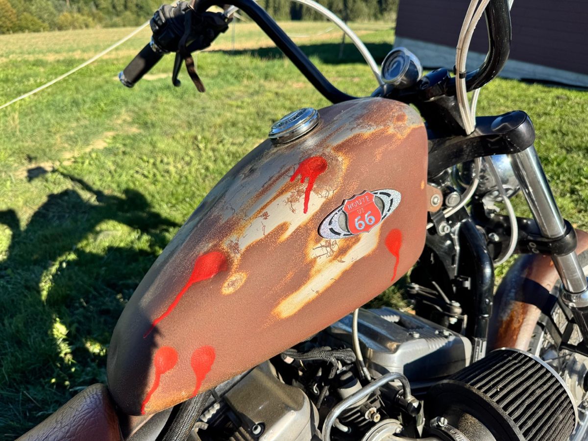 Harley-Davidson Chopper: Harley Davidson XL883L – Usato da Yvonand venduto da Hondaaaaaaa 7