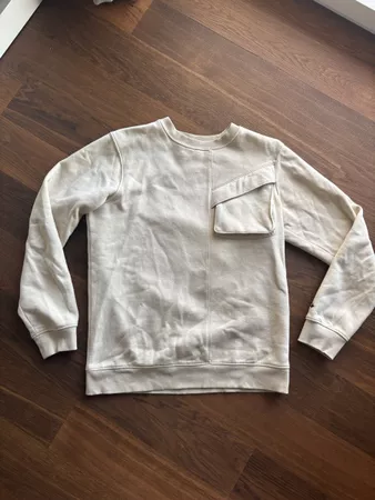 Sweatshirt PKZ beige 