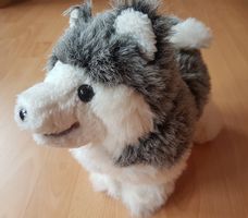 HUSKY / PLÜSCHTIER (NEUWERTIG)