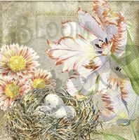 Serviette augusta (1627) 2Stk.