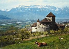 SCHLOSS VADUZ Rheintal Kreuzberge - Kühe