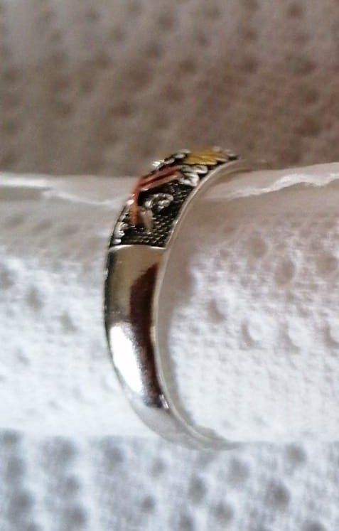 Bagues: Modeschmuck, Ring – Neuf (Voir description) à Grächen par Hel7890 1