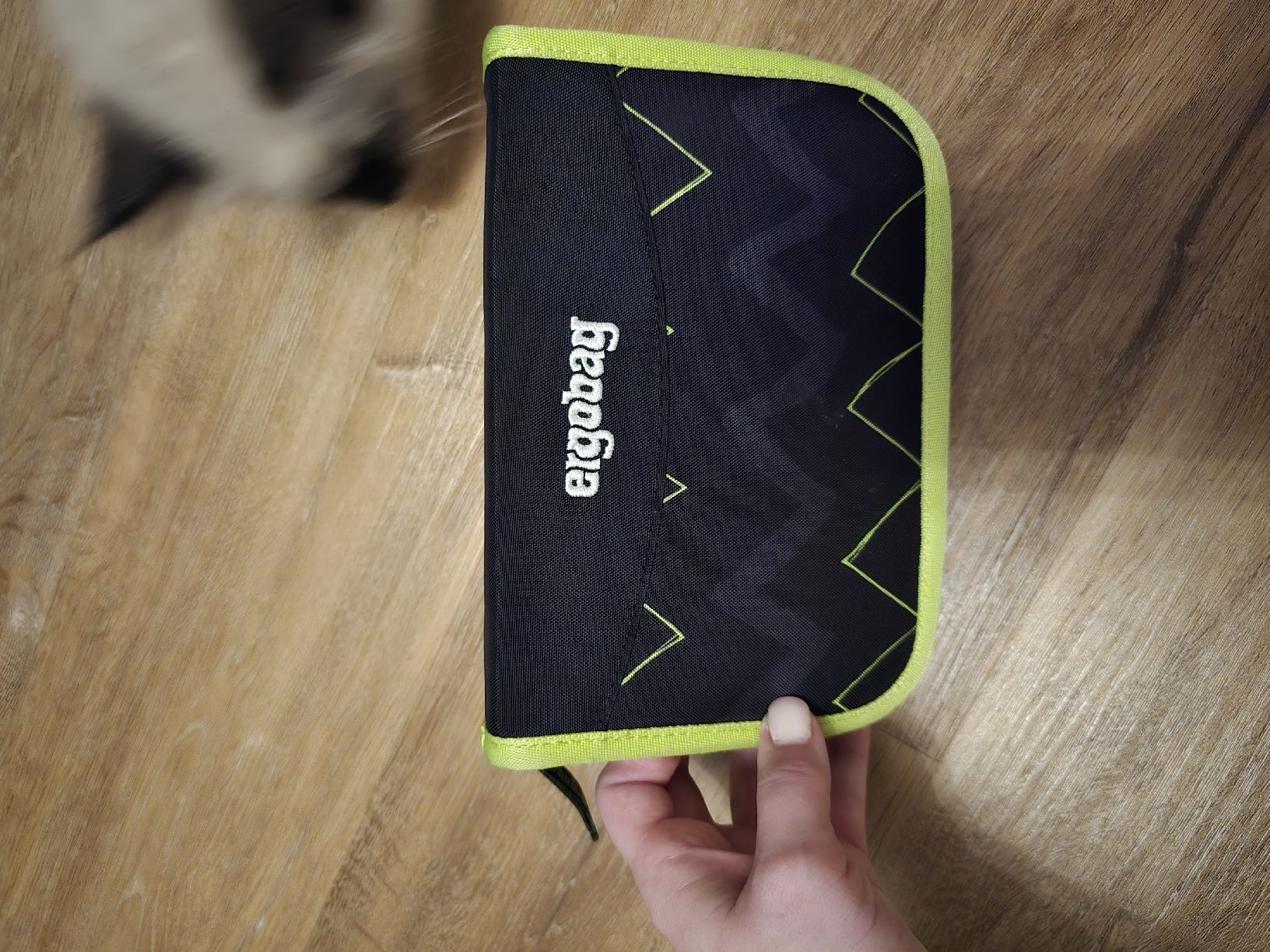 Ergobag Sacs & sacs à dos: Ergobag 19L – D'occasion à Erlinsbach SO par Jasmin-Bachmann 1