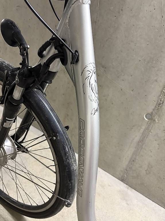 Vélos: Crosswave E Bike  – D'occasion à Zürich par sch_kqj7 4