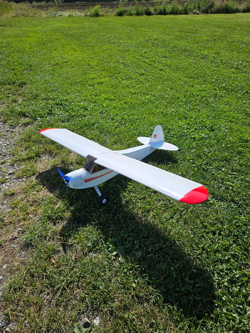 RC Modellbau: Piper L3 Cub – Gebraucht aus Bern von fidirulla 2