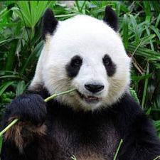 Profile image of Bjoernus_4614