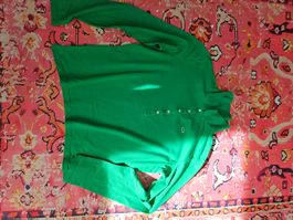 Lacoste Poloshirt gr 50