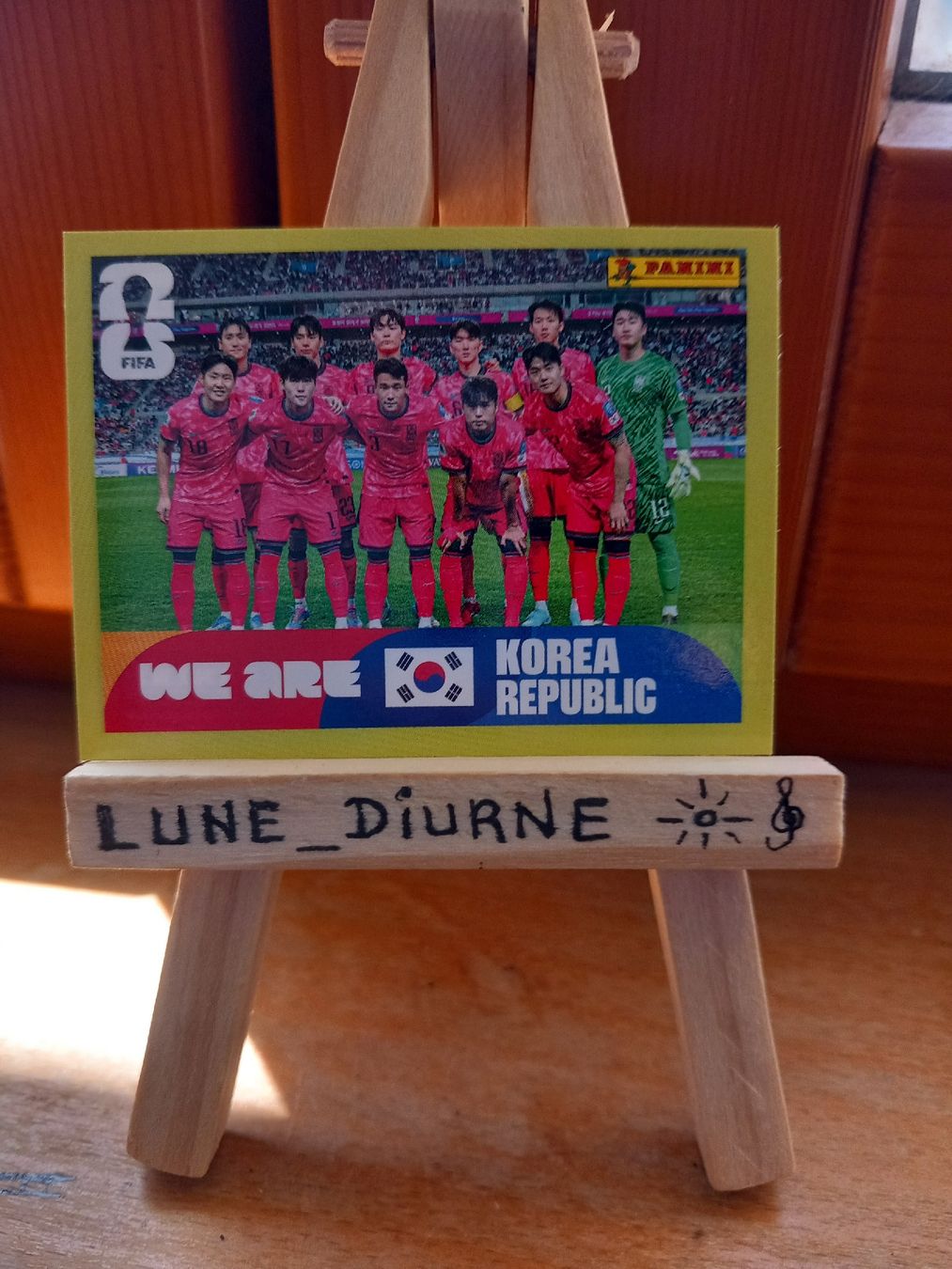 Panini Carte collezionabili: Carte Panini FIFA Corée du Sud KOR 13 – Usato da Salavaux venduto da Lune_Diurne