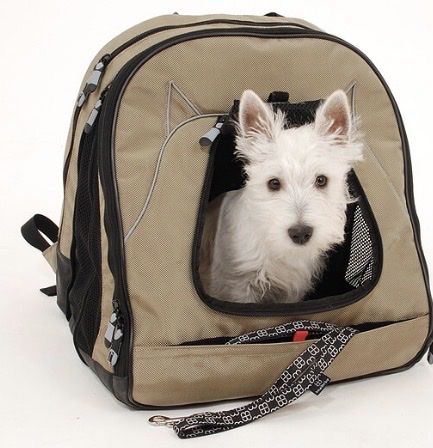 Rucksack für kleinere Hunde oder Katze in prima Zustand