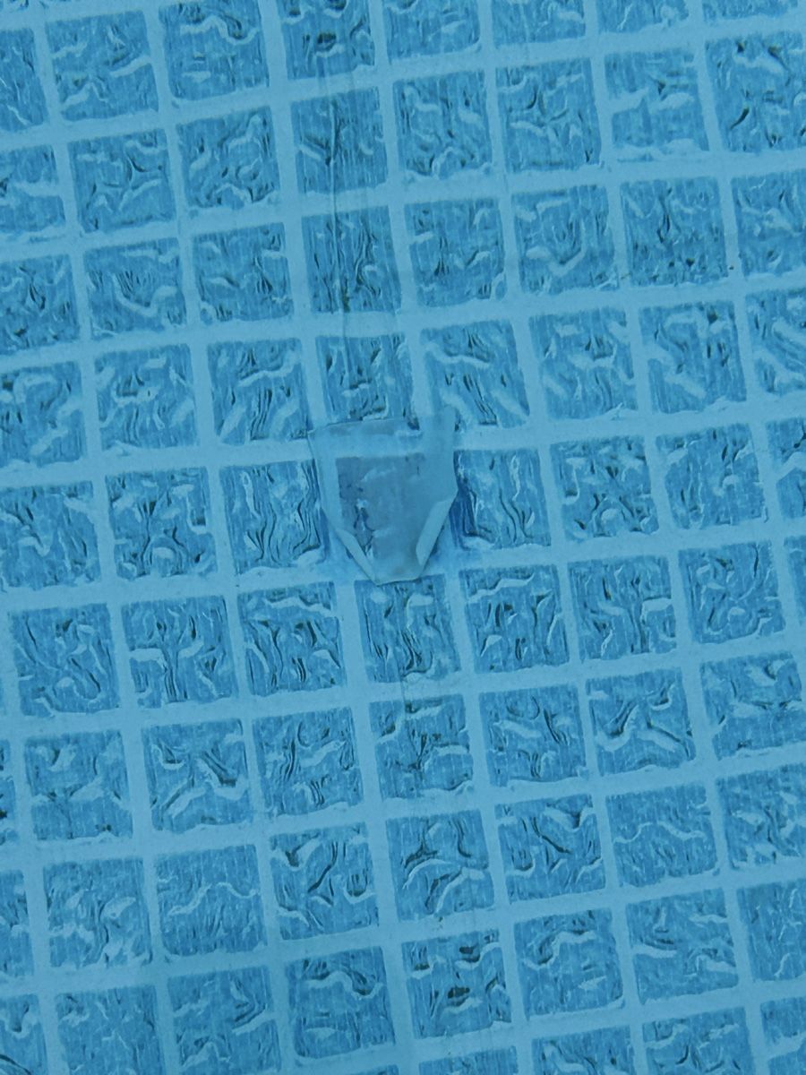 Bestway Schwimmbad: Pool inkl. Zubehör – Gebraucht aus Münchenstein von paro07 5