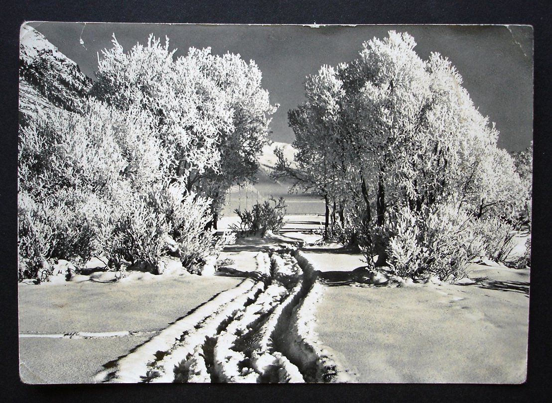 Cartoline postali: ST. MORITZ Photo Albert Steiner, St. Moritz – Usato da Jona venduto da philajona