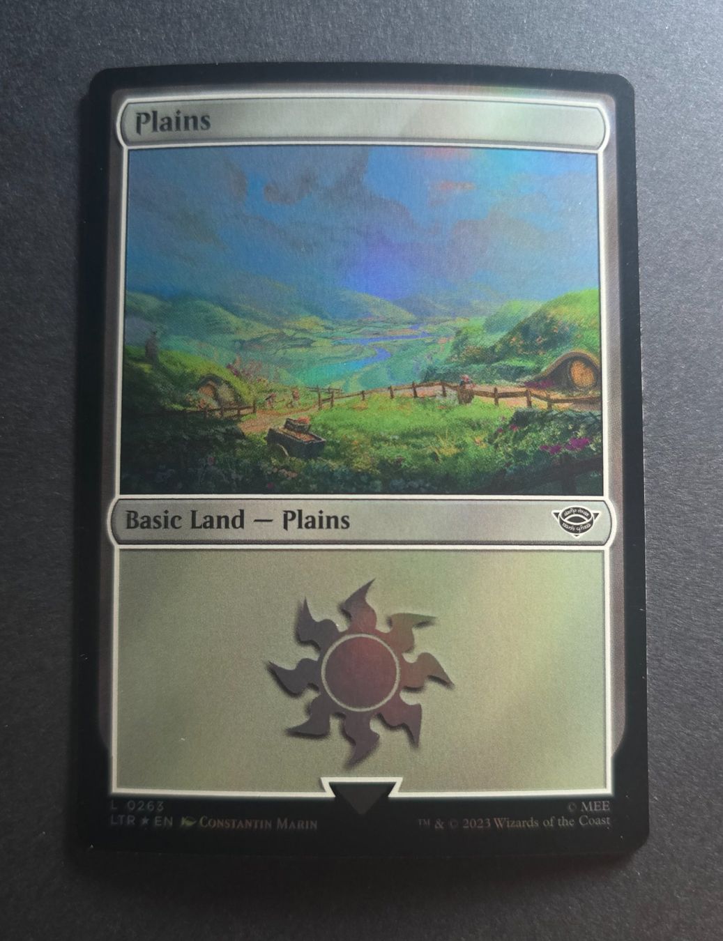 Magic The Gathering Cartes à collectionner: Lord the Rings foil basic lands – Neuf (Voir description) à Luzern par Denis_C 1