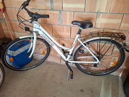 Fahrrad