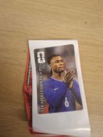 Eduardo Camavinga panini coca cola