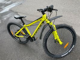 Scott Kindervelo